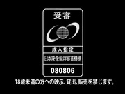 中西里菜十二部全-10