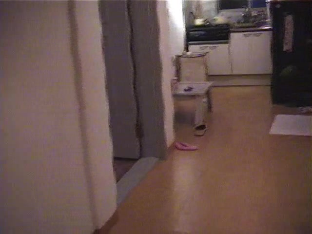 淫荡美丽的女友