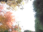 不倫旅行で朝から抱かれる超絶美人な３４歳人妻