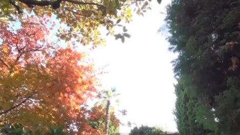 不倫旅行で朝から抱かれる超絶美人な３４歳人妻