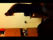 和19岁东北小女孩干炮