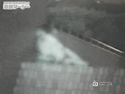 户外摄像头拍到的