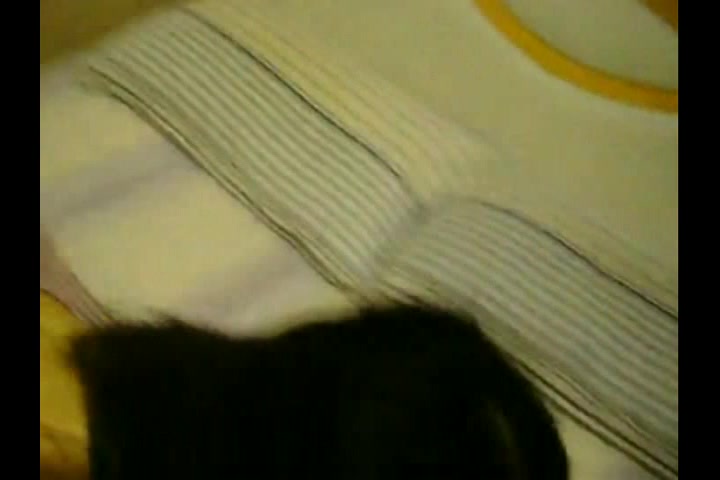 留学妹恋大鸟,寂寞穴被插 _1