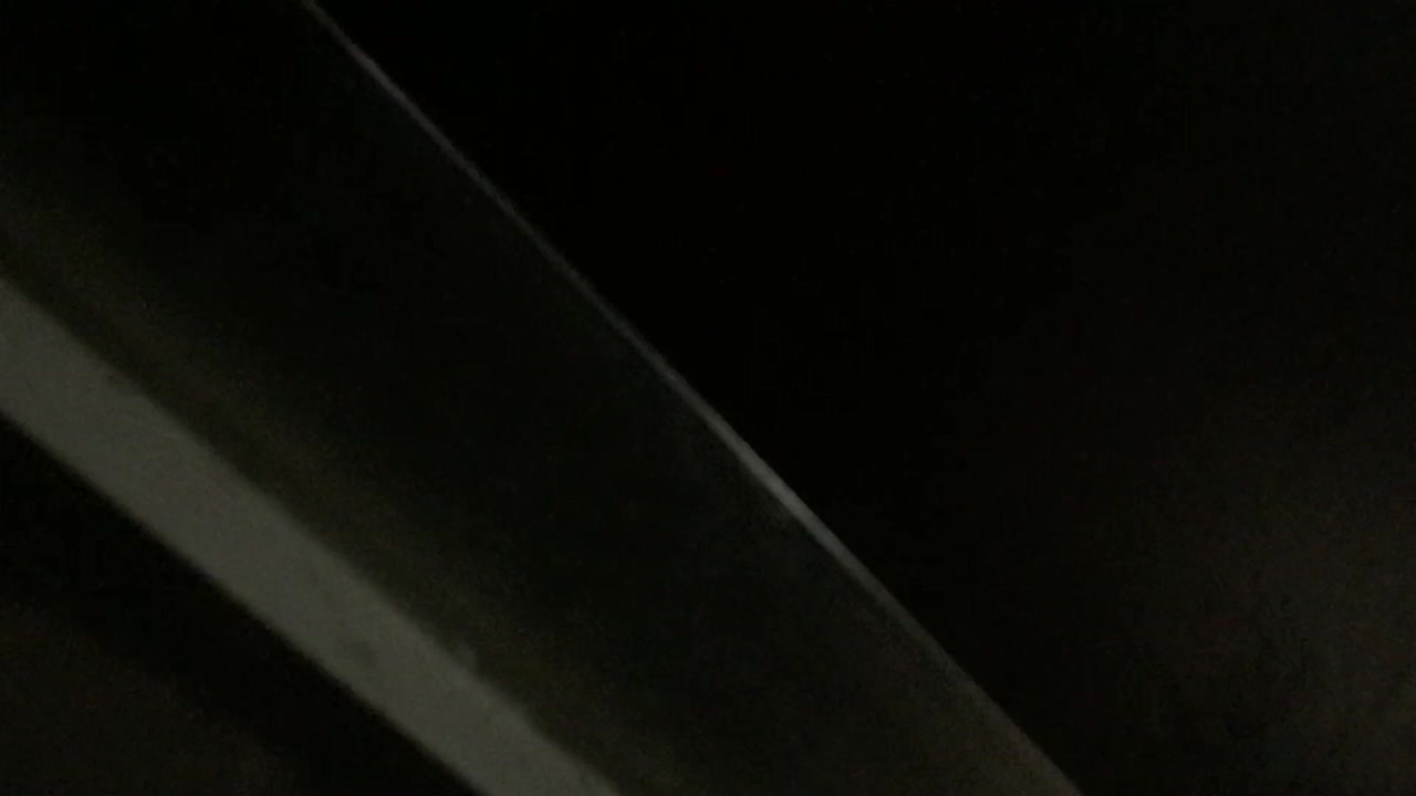 闪光强拍鲍鱼10