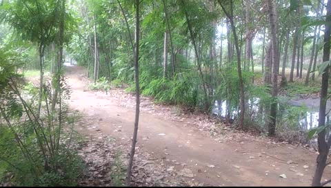 国产野战自拍-----电动车上做爱