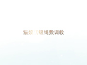 全程露脸精品SM绳捆加扇脸加跳蛋虐待女友