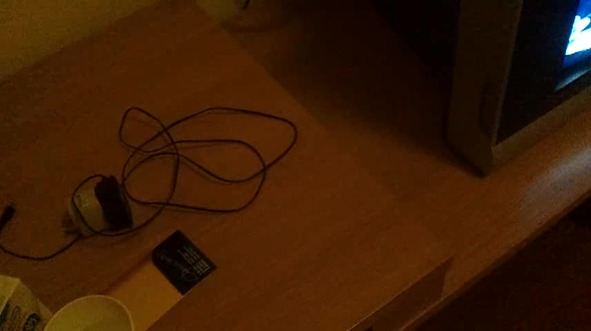 全程露脸与老乡熟女情人的打