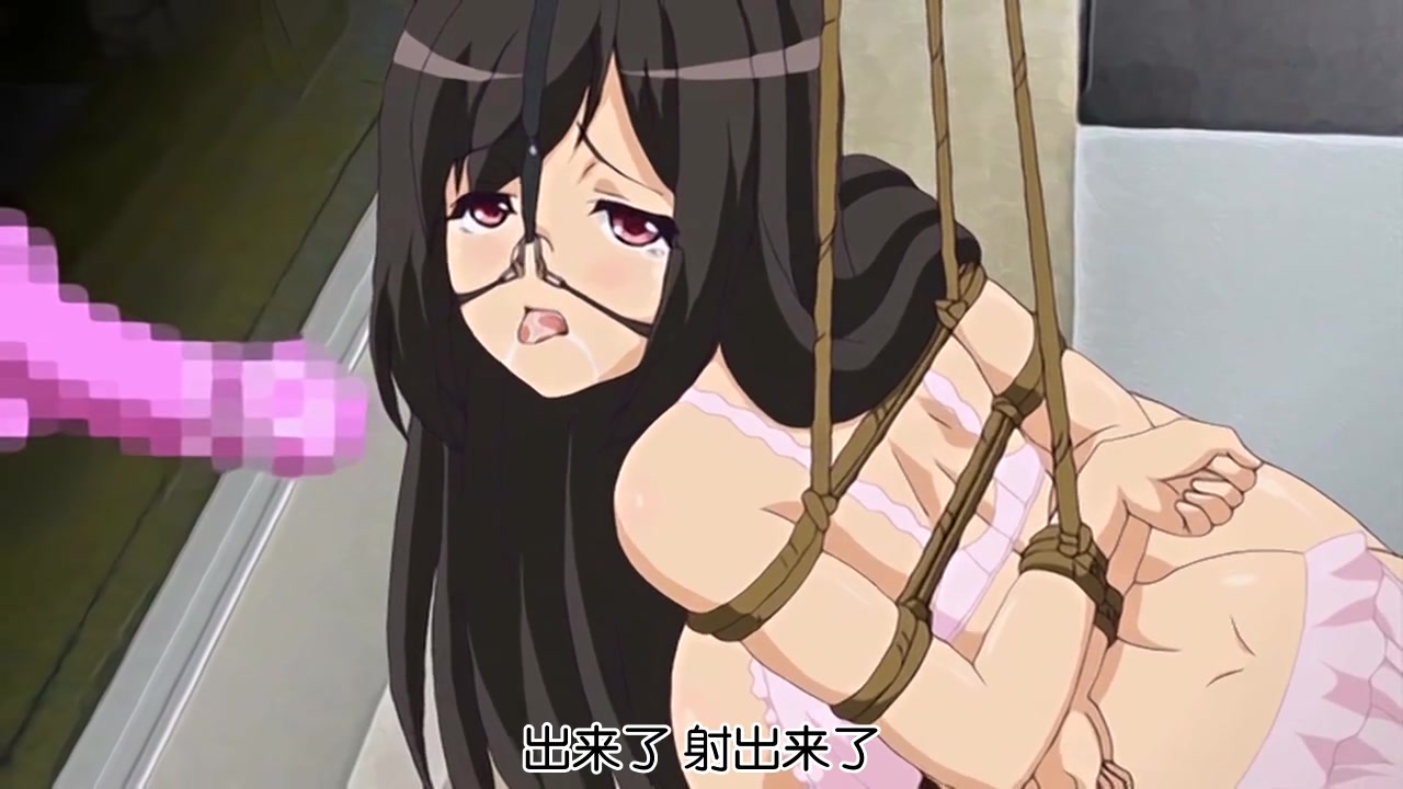 成人 动漫 视频