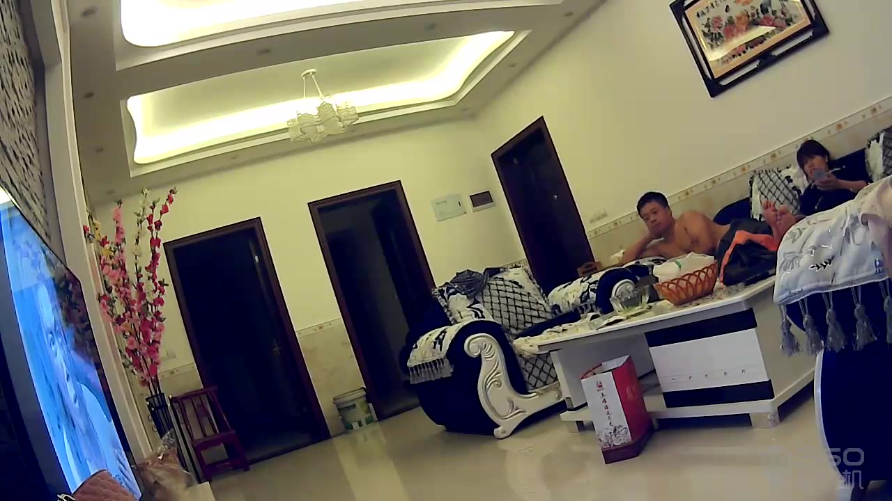 360监拍中年夫妻沙发扒下老婆的内裤爱爱