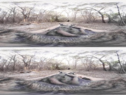 Big tits Latine tease and masturbate